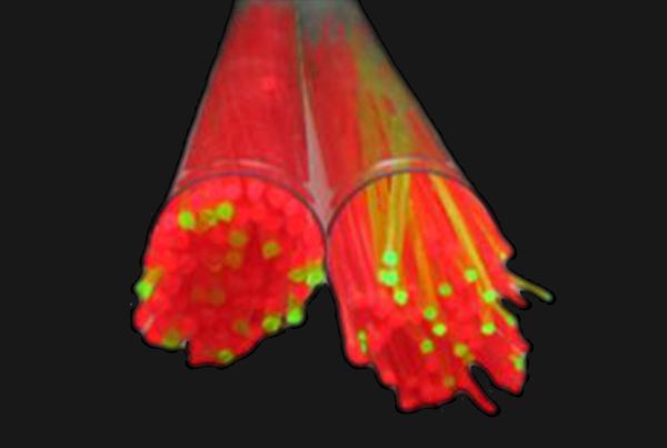 optiki ina 1.5mm